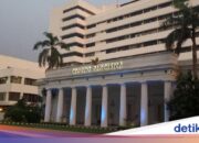 المنظمة الدولية تدعو إلى حل الصراع الانفصالي السعودي اليمني من خلال الحوار السياسي