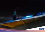 Ein Fischer in Buton überlebte, nachdem er auf dem Heimweg vom Angeln von einem 6 Meter langen Krokodil angegriffen wurde