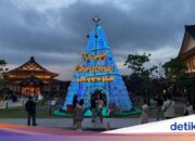 Church Recycles nutzte Gallonen von Le Minerale, um daraus einen riesigen Weihnachtsbaum zu machen