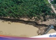 1.140 Menschen starben, 163 wurden vermisst