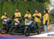 Großartige Leistung im Jahr 2025, Maxim bereitet Wachstumsstrategie für 2026 vor