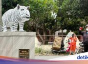 من هي الميزانية التي تم إنفاقها على تمثال النمر الأبيض في كديري؟