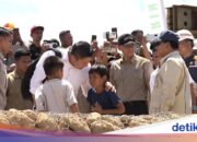 Der Grund, warum der Kabinettssekretär immer Rubiks bei sich trägt und sie an Kinder verteilt, die Opfer einer Katastrophe sind