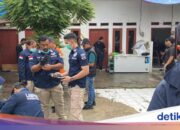 2 im Zimmer, 1 im Wohnzimmer