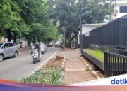 Das Fällen von Bäumen auf Straßen im Süden von Jakarta beendet ASN mit der Androhung einer Strafe