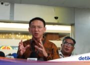 Ahok kann nächste Woche nicht an der Anhörung im Fall von Riza Chalids Kind teilnehmen