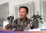 Aufgrund seiner Abwesenheit wird Ahok nächste Woche als Zeuge im Fall von Riza Chalids Kind auftreten