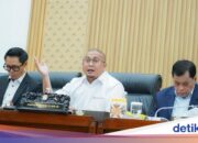 Andre Rosiade drängt auf den Bau eines Hauptumspannwerks zur Unterstützung des Bangis Air Harbor