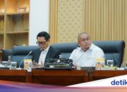 Andre Rosiade bittet um PLN-Unterstützung, um das Dorfstromprojekt in Dharmasraya voranzutreiben