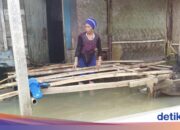 Haus beschädigt, Verkaufsgelder abgeflossen