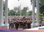 3 Fakten über Autofahrer, die vor dem Rathaus von Bogor wegen der Razzia in alten öffentlichen Verkehrsmitteln protestierten