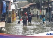 Die Geschichte der Bewohner von Rawa Buaya, West-Jakarta, dass ihre Häuser sechsmal im Monat überflutet wurden