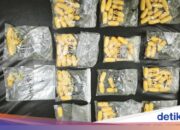 Pakistanisches Bürgerpaar schmuggelte 162 Shabu-Kapseln durch Schlucken