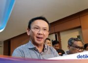 Ahok-Ignasius Jonan wird nächste Woche Zeuge im Prozess um Riza Chalids Kind sein