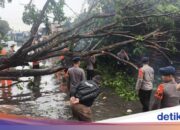 Überschwemmungen und umgestürzte Bäume in Priok, Brimob Polda Metro greift ein
