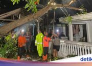 8 Häuser in Probolinggo beschädigt, nachdem sie von einem Tornado getroffen wurden