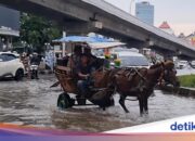 Anwohner entscheiden sich für eine Delman-Fahrt, um Überschwemmungen in Kelapa Gading zu überqueren, und der Kutscher verdient Geld