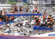 Aufruf zu Sanktionen gegen Werfer von Hunderten Tonnen Müll in Muara Baru, Nord-Jakarta