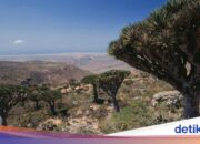 Saudischer Angriff hinter der Gefangennahme von drei indonesischen Staatsbürgern in „Dajjals Versteck“