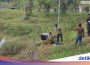 Polizei rettet Mütter, die in Tarakan von 3-Meter-Krokodilen angegriffen wurden