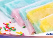 Virales Old-School-Kucheneis, das angeblich aus Schwamm in Zentral-Jakarta hergestellt wurde, ermittelt die Polizei