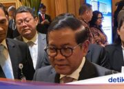 Hören Sie auf, Müll in den Fluss zu werfen