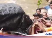 Brücke stürzt ein, Bewohner von Nord-Maluku tragen Leichen über schnell fließenden Fluss