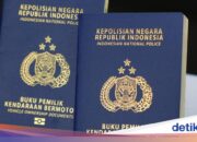 Vorteile von e-BPKB und Überprüfung per Antrag