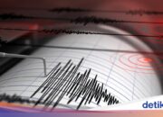 Das Erdbeben der Stärke M 7,1 in Melonguane, Nord-Sulawesi, war bis nach Ternate-Bitung zu spüren