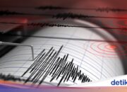 Erdbeben der Stärke M 4,6 erschüttert Nord-Nias, Nord-Sumatra