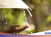 Bereiten Sie Regenschirme vor, in Jabodetabek wird voraussichtlich den ganzen Tag regnen