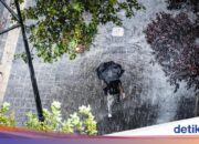 Extremes Wetter Ende Januar, Vorsicht vor starkem Regen in diesen Gebieten