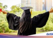 Auswahlplan und neue Dinge, die Sie wissen müssen