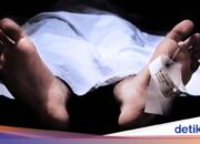 Beim Versuch, Lorbeerblätter zu nehmen, stirbt ein junger Mann in Bogor durch einen Stromschlag