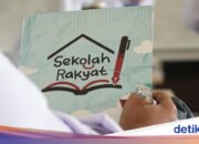 8 Fakten über die Volksschule, die Präsident Prabowo einweihen wird