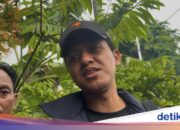 Abgesehen von Schaumbildung vor dem Mund waren auch drei Leichen einer Familie in Nord-Jakarta blasig