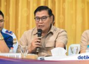 Kapoksi Gerindra Commission V DPR unterstützt die Nutzung von Holz, das durch Überschwemmungen in Sumatra mitgeschleppt wurde