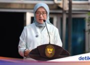 KemenPAN-RB erläutert die Erfolge öffentlicher Dienste und Digitalisierung im Jahr 2025