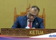 KIP entscheidet über Jokowis Diploma Open Information