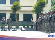 446 Mitarbeiter der Friedensoperation Cartenz 2025 haben ihre Pflicht erfüllt und Auszeichnungen erhalten