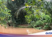 SMAN 5 Depok fordert die Evakuierung des 1,5-Meter-Krokodils „Lisa“ aus Angst vor angreifenden Schülern