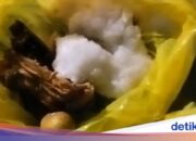 Virales MBG in Pandeglang mit Plastiktüten, SPPG eröffnet Stimme