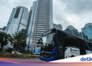 Was ist über zwei Männer bekannt, die in Transjakarta wegen Masturbation verhaftet wurden?