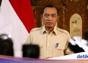 Palace bezüglich der LSI-Regionalwahlumfrage Denny JA: Kein Problem