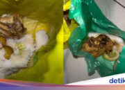 BGN eröffnet Stimme zu MBG-Kleinkind und schwangerem Mädchen, das eine Plastiktüte benutzt