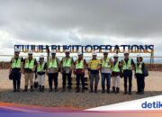 Studie in Banyuwangi, Pohuwato Regentschaftsregierung prüft MPP-PT BSI-Bergbauinvestition