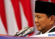 Prabowo unterzeichnet offiziell das Strafanpassungsgesetz