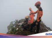 Der Standort der entdeckten Blackbox des ATR 42-500-Flugzeugs liegt in einer 131 Meter hohen Schlucht