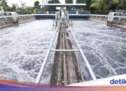 PAM JAYA erweitert den Leitungswasserzugang, die Abdeckung erreicht 2025 80,24 %