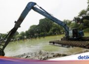 In Jakarta gibt es nur noch 200, die Provinzregierung strebt den Bau eines neuen Stausees an